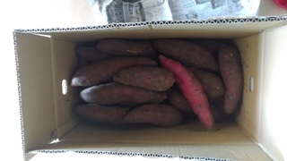IMG_20191109_095136.jpg